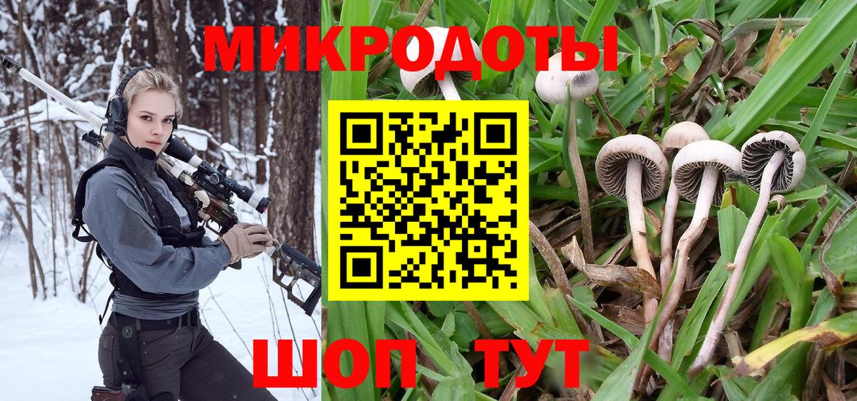 Галлюциногенные грибы прущие грибы Армавир